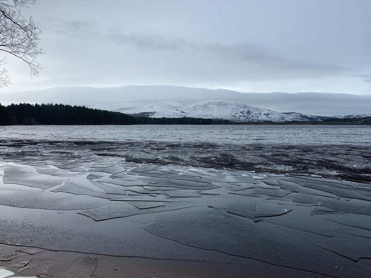 The One - Chalet In The Cairngorms Boat of Garten Exterior foto